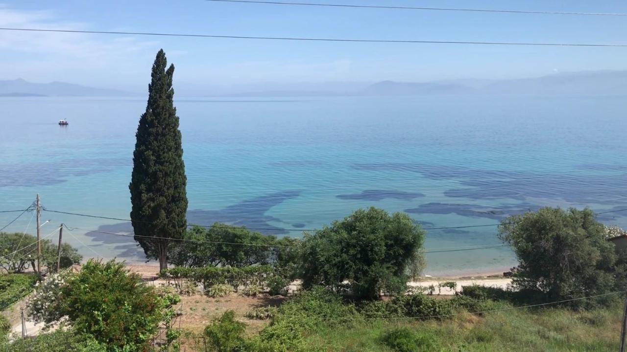 Aliki